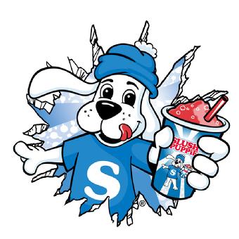 Image result for slush puppie